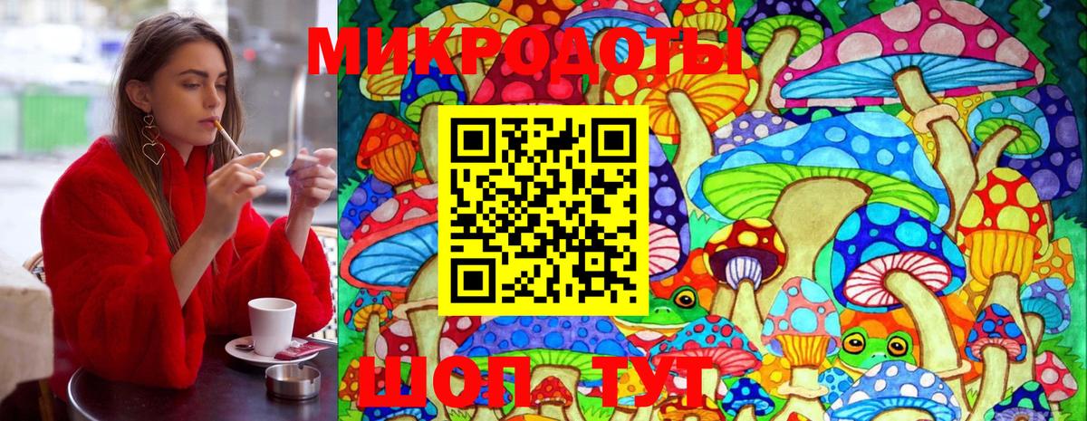 Галлюциногенные грибы MAGIC MUSHROOMS  Вход с VPN  Канаш  Псилоцибиновые грибы прущие грибы 