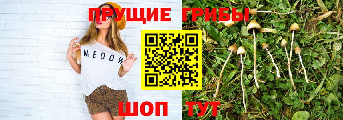 Псилоцибиновые грибы MAGIC MUSHROOMS Канаш