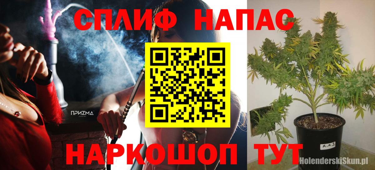 Каннабис MAZAR Канаш